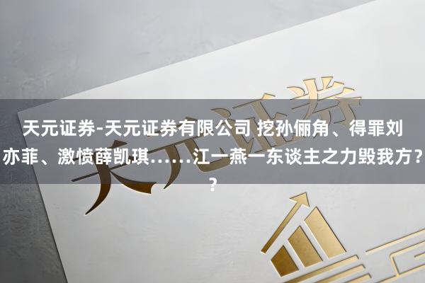 天元证券-天元证券有限公司 挖孙俪角、得罪刘亦菲、激愤薛凯琪……江一燕一东谈主之力毁我方？