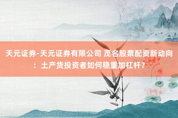 天元证券-天元证券有限公司 茂名股票配资新动向：土产货投资者如何稳重加杠杆？